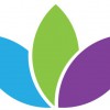 Premier Yoga & Fitness