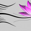 Body Tool Fitness