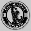 Hall Of Heros Iron Gym
