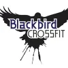 Blackbird CrossFit
