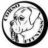 Corso Fitness
