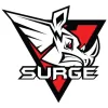Surge to New Levels