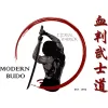 Modern Budo